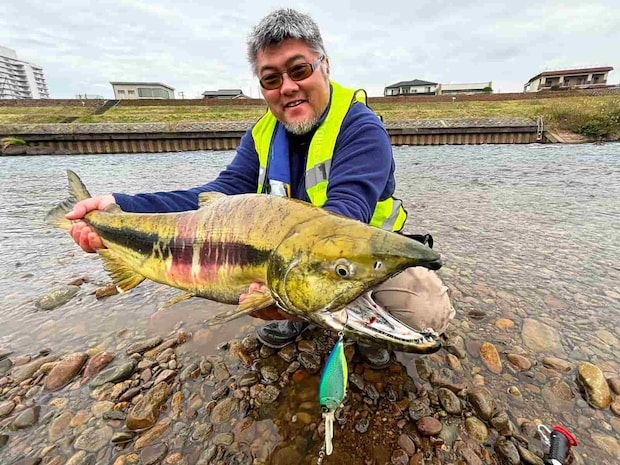 ≪メディア初？≫ビッグベイトで日本のサーモンフィッシングに挑戦！【新潟県五十嵐川】