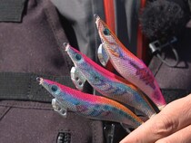 川上英佑〝神掛かり〟エギローテーションでアオリイカ連発！