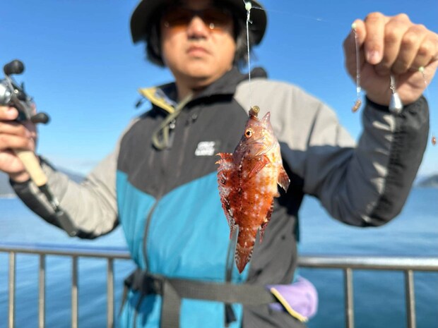 序盤によく釣れたのが、オハグロベラ（？）。なんとなくあんまり美味しそうに見えないので、全部リリースした。 &copy;望月俊典