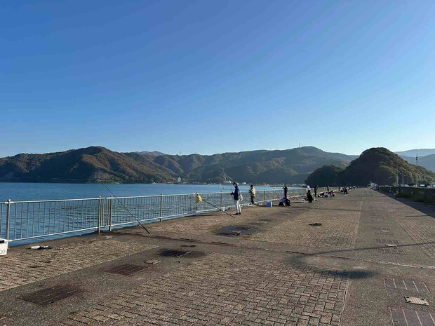 今回訪れたのは鞠山海遊パーク。敦賀新港のフェリー乗り場の横にある魚釣り護岸。柵があり、安全に釣りができる。トイレも自販機もある。 &copy;望月俊典