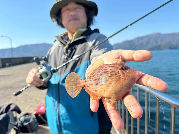 そして、2匹目のカワハギ！納得の納竿サイズだ。 &copy;望月俊典