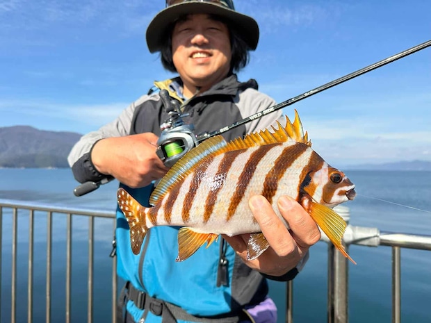 カワハギタックル的にはだいぶ大物、タカノハダイも釣れた。 &copy;望月俊典