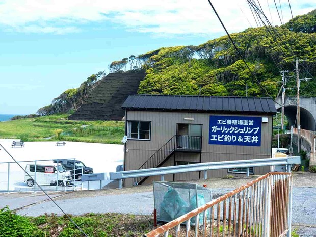 【大注目のお手軽エビ釣り!】千葉県富津市金谷に〝エビ釣り堀〟がオープン!『GoldenShrimp』