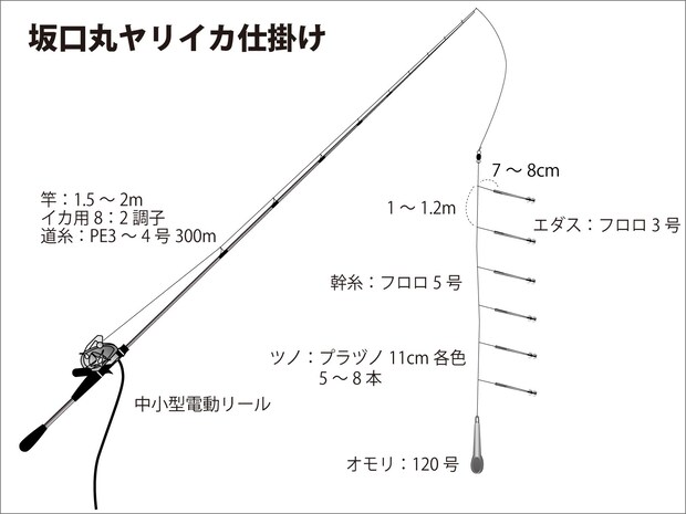 『坂口丸』ヤリイカ仕掛け図。 ©釣りビジョン