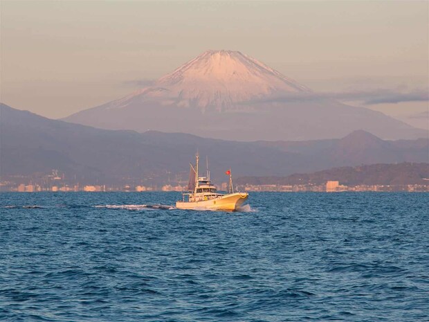富士山を背に小田原漁港より出船。 &copy;釣りビジョン