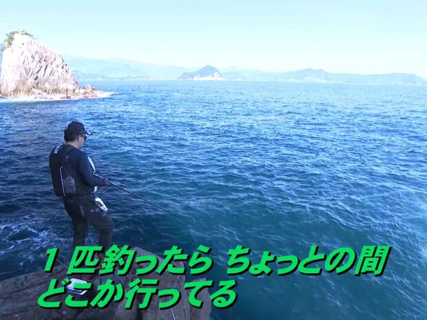 途中、撒き餌をすると10匹近いシイラが寄ってくるとんでもない状況に。それでも「（シイラを）1匹釣ってリリースしたら、その後数投の間は（シイラが）いなくなる」と冷静に分析。そしてその短い時間に、本命らしき魚を見事にヒットさせるシロモッチ！上がってきたのは43cmの口太グレだった。©釣りビジョン