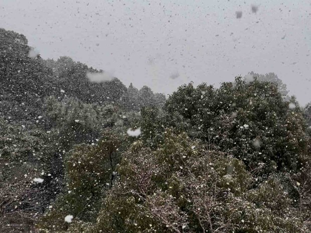 寒さは時間と共に増し、次の日高知県西部の町には雪が舞った。 &copy;釣りビジョン