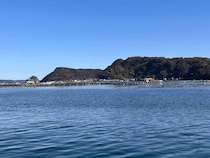 【大型高級魚が足下にウヨウヨ】和歌山県串本の天然水族館でライトゲームを堪能！どこを見ても魚、魚、魚！