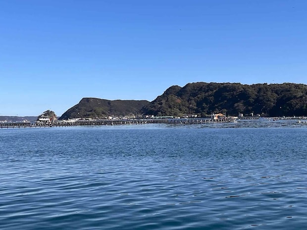 【大型高級魚が足下にウヨウヨ】和歌山県串本の天然水族館でライトゲームを堪能!どこを見ても魚、魚、魚!