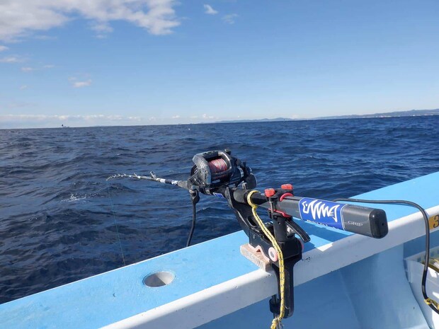 イカ用ロッドは粘りがあり、サバ釣りにも流用可能。 ©釣りビジョン