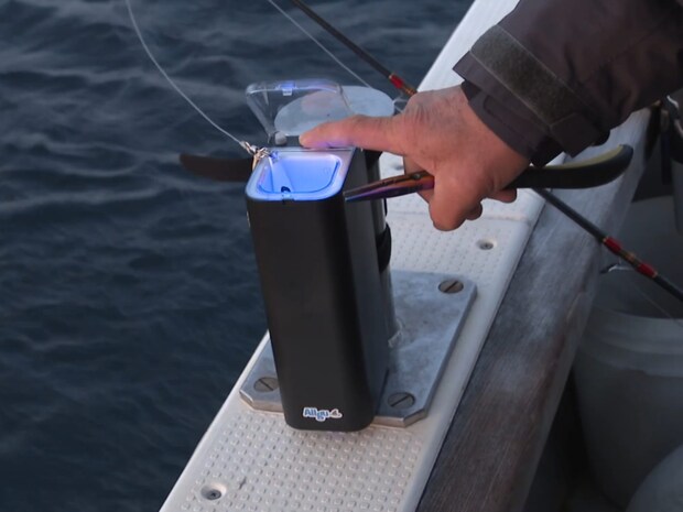 この釣りでは備えてほしいアイテム「蓄光器」。深海で長く光らせ、魚にアピールすることが大事となる。村田は使用するジグをグロー系で揃えた。バラムツやアブラソコムツは、日中は水深500m近くに潜み、夜になるとイカやタチウオなどのベイトを追って水深100m近くまで浮上してくるという。©釣りビジョン