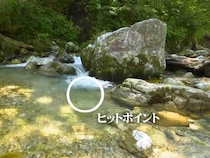 【山岳渓流】“フライの魔術師”杉坂研治が魅せるイワナ攻略の真髄
