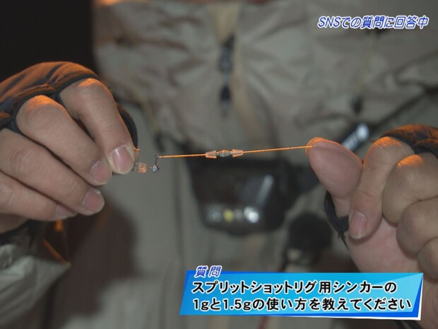 SNSからの質問に回答中！ショートスプリットリグも有効だ！&copy;釣りビジョン