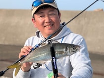 〝最長最強〟寒波が直撃！熊本県・御所浦島のナイトアジング