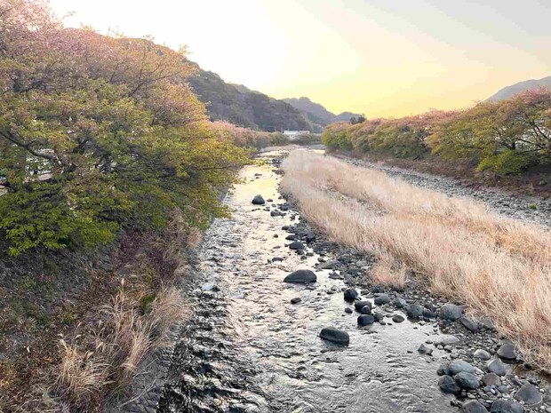 夕方になると峰小橋下流の左岸のこの流れではチェイス頻発！ &copy;釣りビジョン
