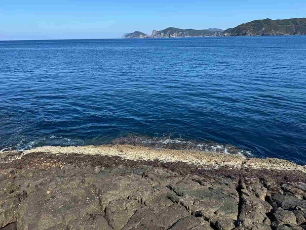 足場はかなりの傾斜になっている上に海苔がびっしりと生えていて注意が必要だ。 &copy;釣りビジョン