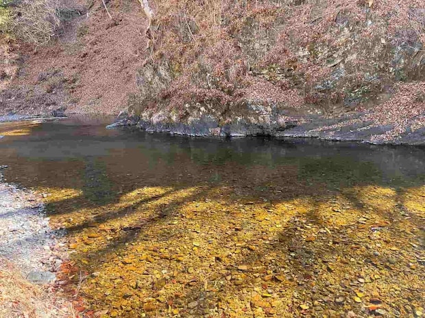 対岸の岩付近の深みを狙うとチェイスあり！ ©釣りビジョン