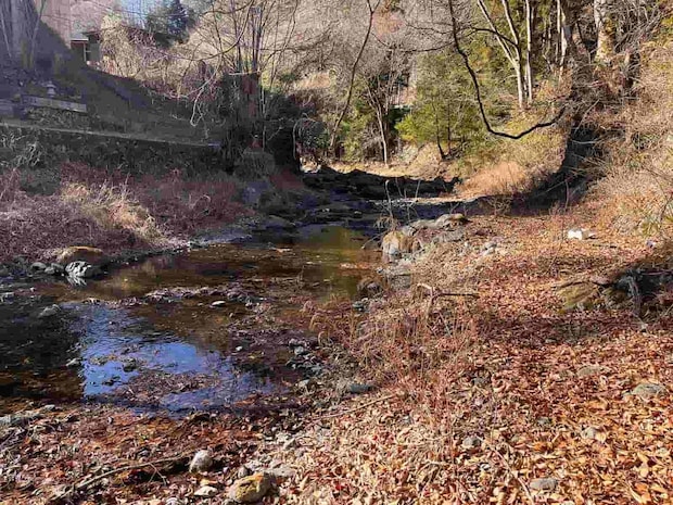 支流の水量はルアー不可！キャストするとすぐに落ち葉を拾ってしまう。 &copy;釣りビジョン