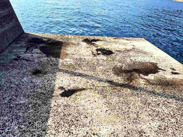 【営業担当 釣行記】五島列島へ遠征!春のデカイカ狙いには〝4号〟のエギがオススメ
