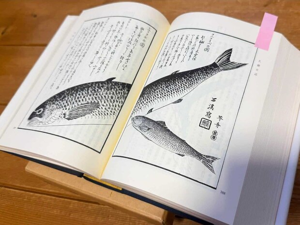 イトウに関する貴重な文献を見せてもらうため、本波の釣り部屋を訪れた。幕末から明治にかけて活躍した探検家・松浦武四郎の日誌には、「アイヌ民族の夕食に招かれ、8尺～9尺（2.4m～2.7m）のイトウが出てきた。」など驚きの記述があった。次は『オタクのタックルボックス』で本波の部屋を訪れたい。 ©釣りビジョン