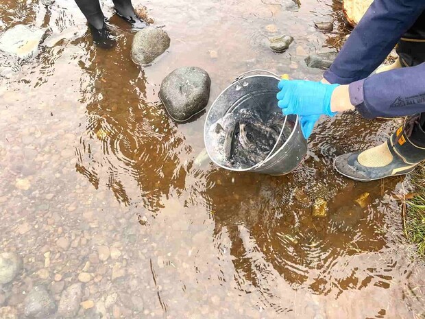 各ポイントにバケツで放流がなされた。 ©釣りビジョン