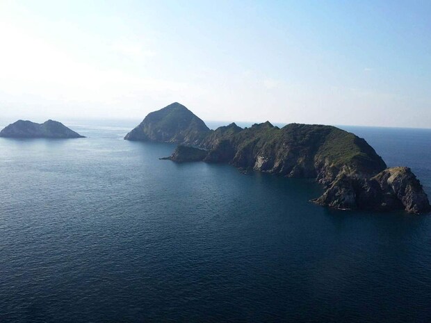 愛南町あげての磯釣り大会が行われる人気の中泊エリア。 ©釣りビジョン