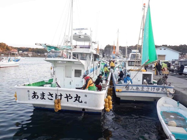 【乗っ込み間近】東京湾口のコマセマダイ好調！ 神奈川県松輪江奈港『あまさけや丸』