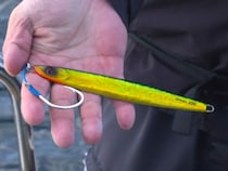 丹後の海で熱叫！絶叫！ブリジギングで狙う10kgオーバーのデカブリ！