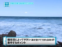 荒磯の王者・ヒラスズキに挑む！宮崎県の荒磯VS松岡豪之