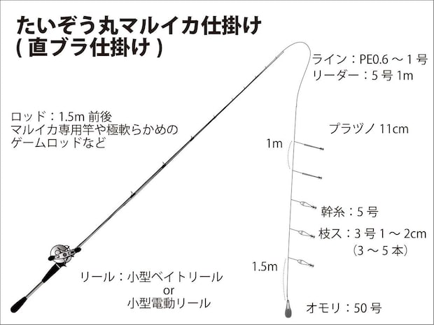 『たいぞう丸』マルイカ仕掛け図（直ブラ仕掛け）。 ©釣りビジョン