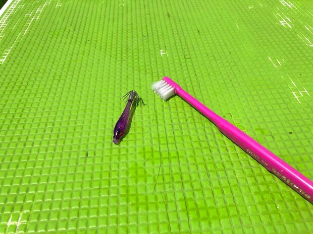 スッテにイカの墨が付着したら歯ブラシ（持参する）で取り除く。 ©釣りビジョン