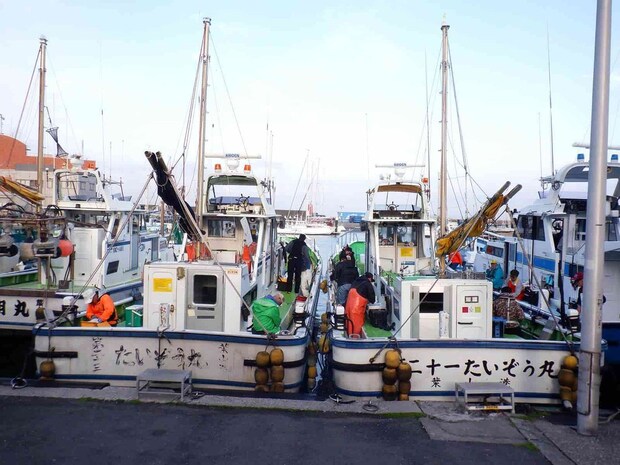 【マルイカ好調！】良型マルイカ主体で数も伸びる！神奈川県・葉山あぶずり港『たいぞう丸』