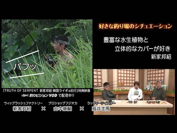 好きな釣り場のシチュエーション。「豊富な水生植物と立体的なカバーが好き」だと言う新家の過去映像に注目だ！高井も新家と同じく、「ヒシに覆われた難易度の増したフィールドが好き」だと。2人は小さめのフロッグを愛用し、ヒシのちょっとしたスペースを見つけて奥まで飛ばすこと、また隙間にどれだけ入れるか、がポイントなのだそうだ。一方、山中は大型のフロッグを使いサイトフィッシングでの呼吸打ちを好み、「釣れない呼吸を釣りたい！」と。©釣りビジョン