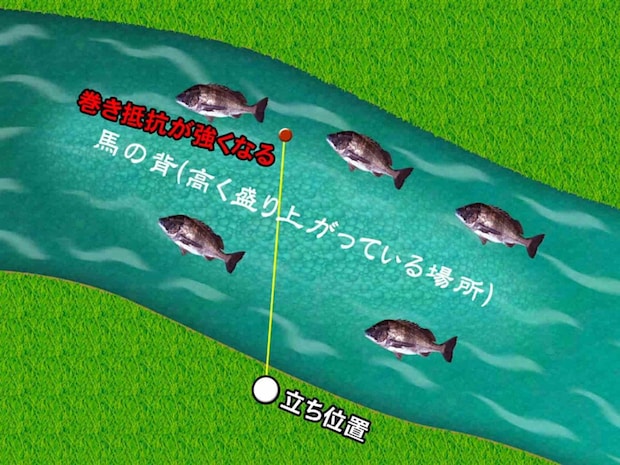 馬の瀬の向こう側へキャストし、巻き抵抗が強くなる駆け上がり、そしてテンションが抜ける落ち込み、と2つのスポットを重要視しながら釣っていく作戦！ここで3匹目となる魚をゲット！誘いは、ボトムを跳ねさせるボトムバンピング。ワームはアームが長いものを使用。 ©釣りビジョン