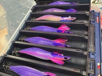 鹿児島県串木野沖でティップラン 全員安打の実釣レポート！