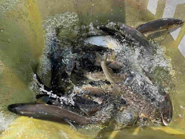 入れ掛かりもあり大満足な釣果。 &copy;釣りビジョン