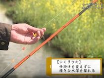 春の光が導く、ノッコミマブナへの道！