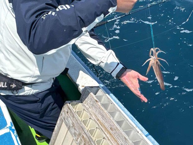 釣り座を問わず触りのある時合いが訪れ…。 ©釣りビジョン