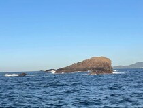 南伊豆の下田沖磯で良型メジナが爆・爆釣！