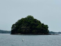 「シマノジャパンカップ黒鯛（チヌ）」地区大会に参戦してきた！