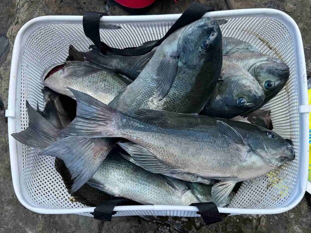 甑島のポテンシャルはやはり素晴らしい！ &copy;釣りビジョン
