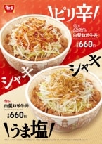 【すき家】「白髪ねぎ牛丼」と「赤だれ白髪ねぎ牛丼」今年も販売(並盛660円)、「白髪ねぎ牛すき鍋定食」も登場