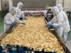戦略品・輸出品を担う中核拠点に、ポテトチップスの供給体制を強化【湖池屋・中部工場】