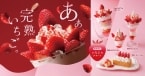 【びっくりドンキー】4種のいちごデザートを販売!2026年初登場の「完熟いちごシフォン」や完熟いちごの「ジョッキパフェ」など