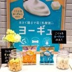 伊藤園、食品ブランド「BLOOM Deli」始動　乳酸菌入りヨーグルト菓子「ヨーギュ」発売