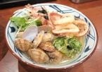 丸亀製麺、夏限定「冷たーい旨塩うどん」今年も登場　昆布×ホタテの“旨塩だし”進化、新作2品も発売