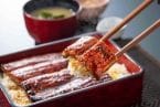 【1万5000食限定】大戸屋「鹿児島県産うな重」発売、一尾丸ごと使用　アプリで200円引き