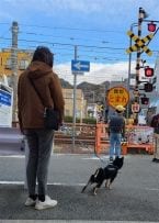 犬の散歩を“しながら”地域を“見守る”「わんわん見守り隊」、活動エリアを兵庫県全域に拡大