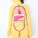 関西癌主術件数病院ランキング ③大腸がん～結腸