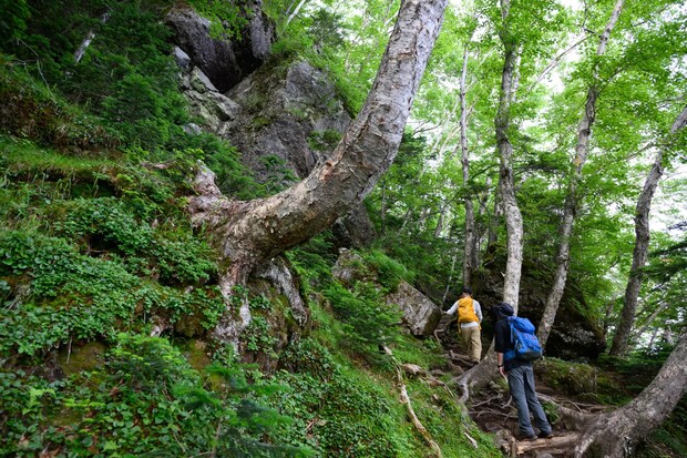 TNP-2025.07.22-25_0141 UNMAP YOUR LIFE ~栃木県 白根山編~ 自分を解放する、こだわりの時間 TNP-2025.07.22-25_0141 UNMAP YOUR LIFE ~栃木県 白根山編~ 自分を解放する、こだわりの時間